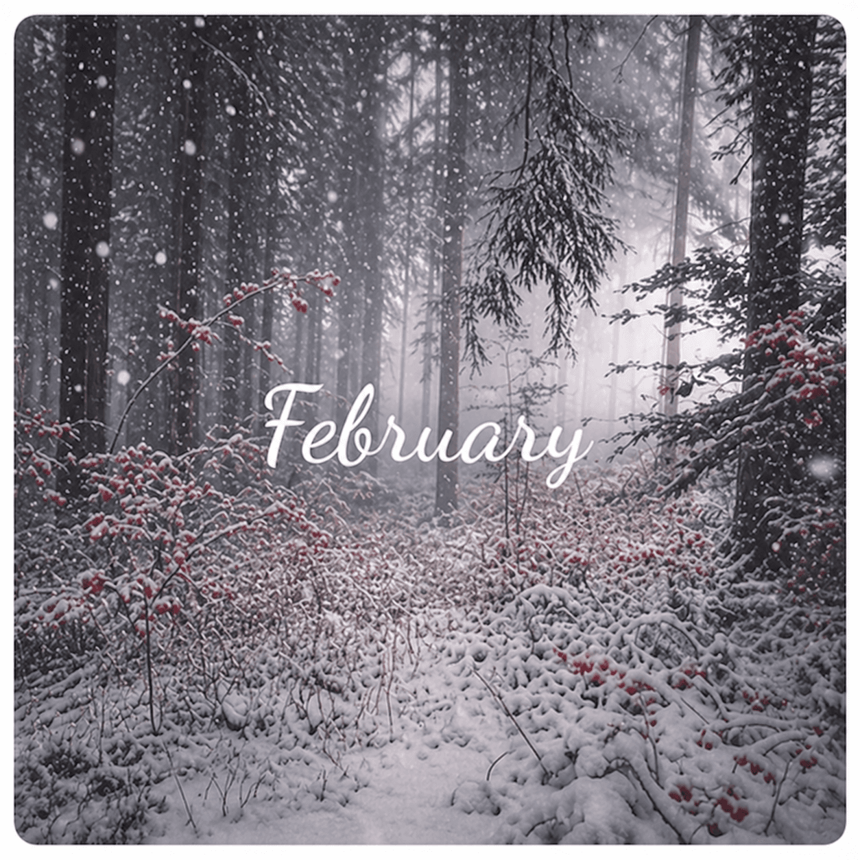 February devotional