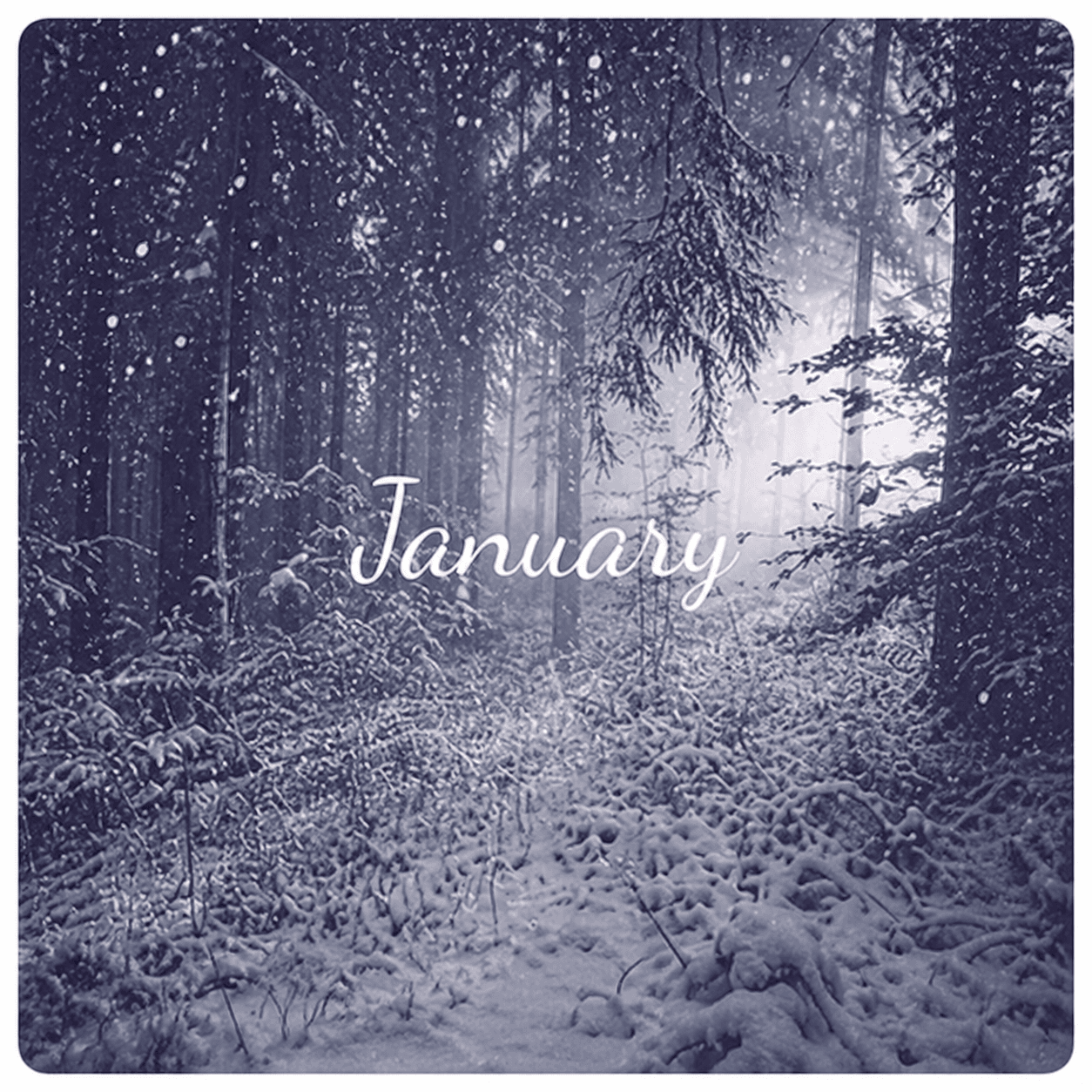 January devotional